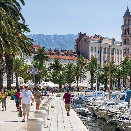 Cozy In * Σπλιτ